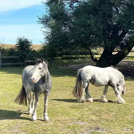 Gorch Fock Teichhof Fehmarn Wenkendorf