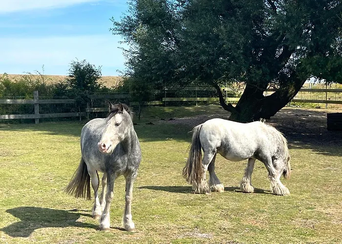 Gorch Fock Teichhof Fehmarn Wenkendorf