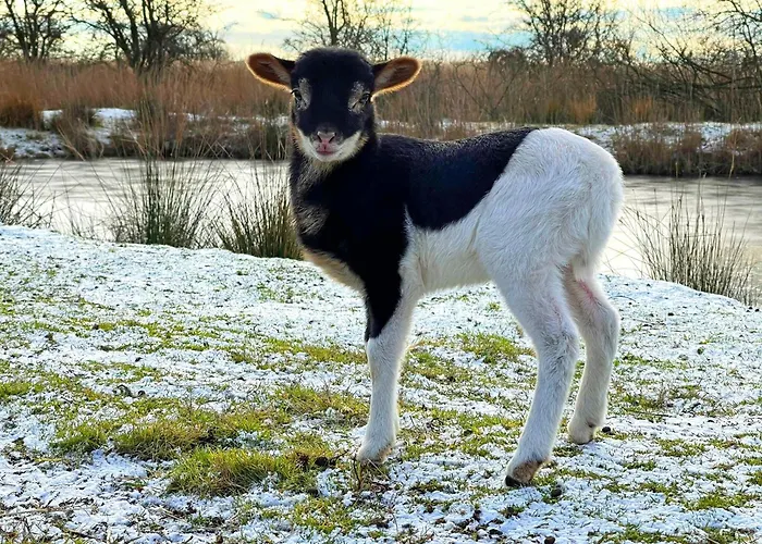 Gorch Fock Teichhof Fehmarn